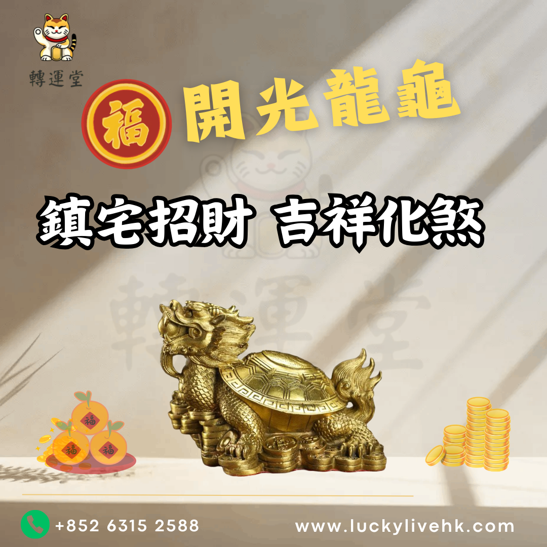 開光龍龜