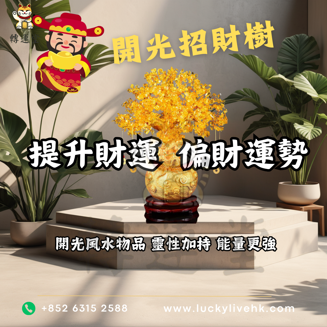 開光招財樹