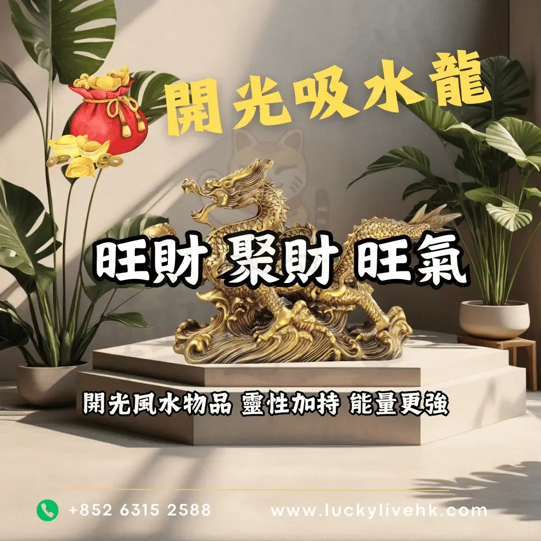 轉運堂開光吸水龍、旺財聚財、開光風水物品