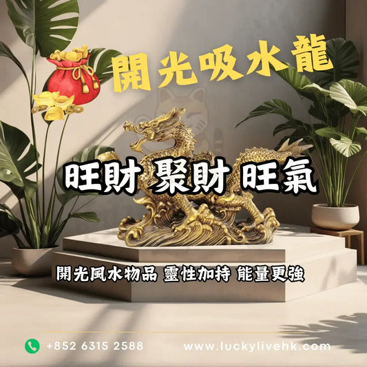 轉運堂開光吸水龍、旺財聚財、開光風水物品