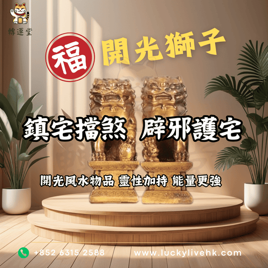 轉運堂開光獅子、鎮宅擋煞、辟邪護宅、開光風水物品